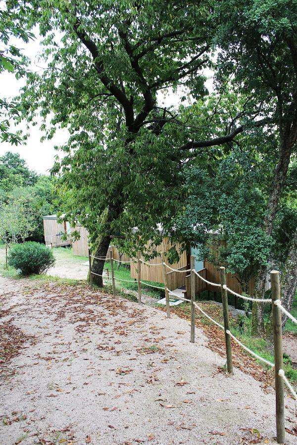 Aloia Nature, Alojamiento Forestal Tui Εξωτερικό φωτογραφία
