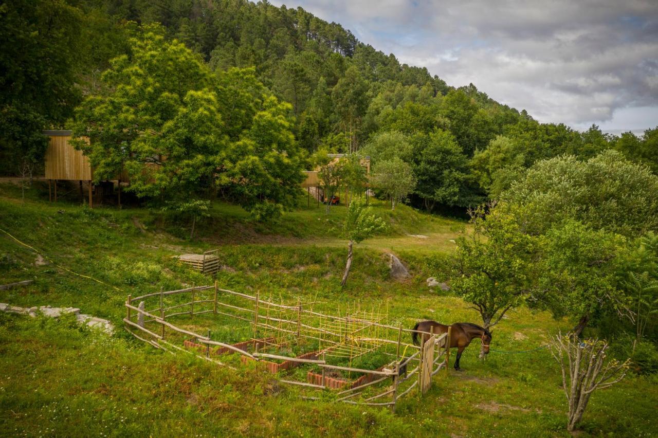 Aloia Nature, Alojamiento Forestal Tui Εξωτερικό φωτογραφία